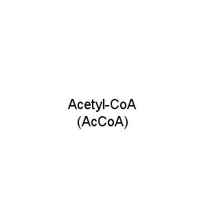 Acetyl-CoA (AcCoA)